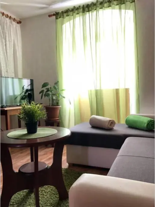 Living room with sofa bed and TV